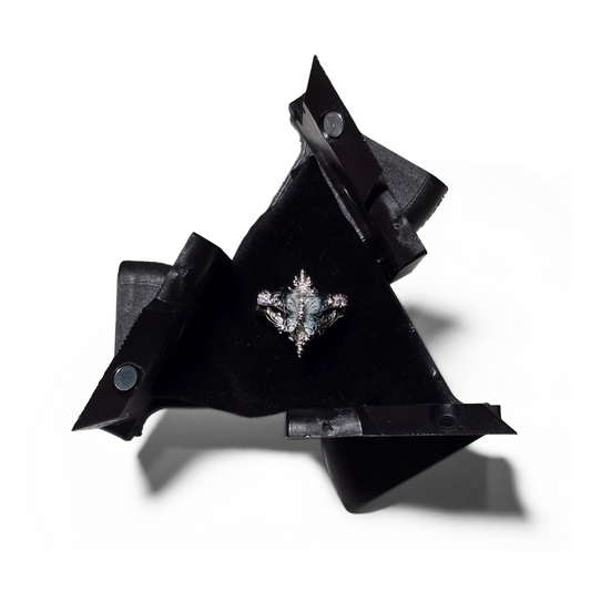 Ring Box